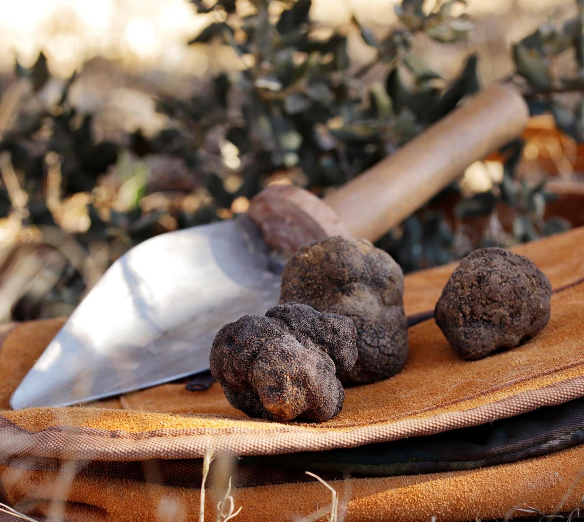 Appartement Aromas Del Jiloca, Tierra De Trufas à Calamocha Extérieur photo
